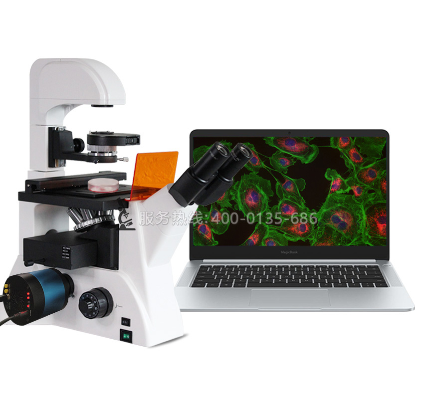 FRD-6CL科研級倒置熒光顯微鏡LED三波段熒光激發(fā)DAPI FITC